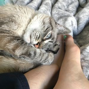 Meet your Posher, Iskra